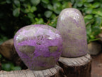 Polished Stichtite Standing Free Forms x 5 From Barberton, South Africa - Toprock Gemstones and Minerals 