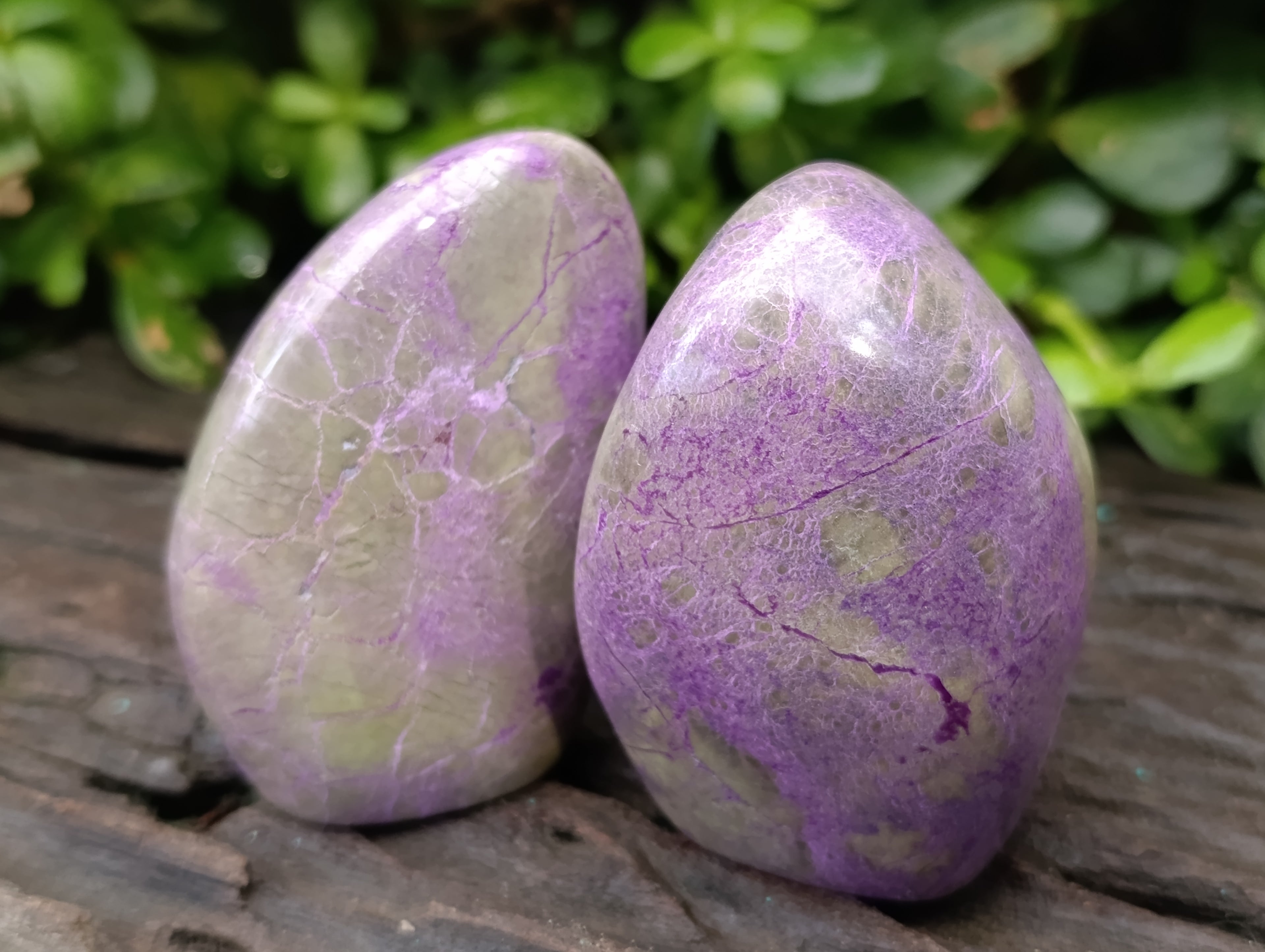 Polished Stichtite Standing Free Forms x 5 From Barberton, South Africa - Toprock Gemstones and Minerals 
