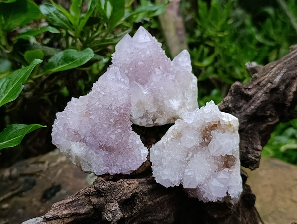 Natural Amethyst Spirit Quartz Clusters x 6 From Boekenhouthoek, South Africa