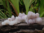 Natural Amethyst Spirit Quartz Clusters x 6 From Boekenhouthoek, South Africa - Toprock Gemstones and Minerals 