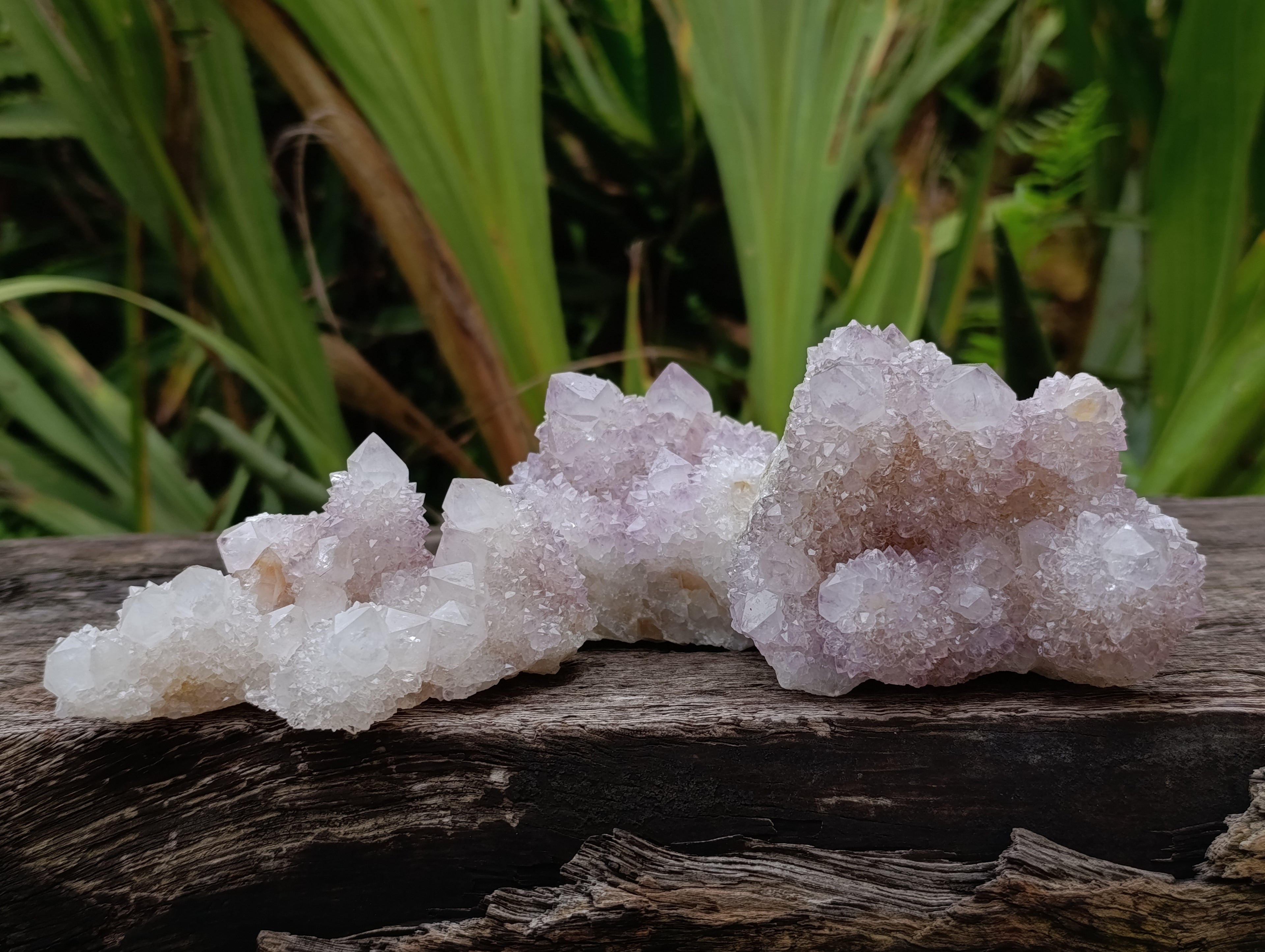 Natural Amethyst Spirit Quartz Clusters x 6 From Boekenhouthoek, South Africa - Toprock Gemstones and Minerals 