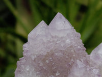 Natural Amethyst Spirit Quartz Clusters x 6 From Boekenhouthoek, South Africa