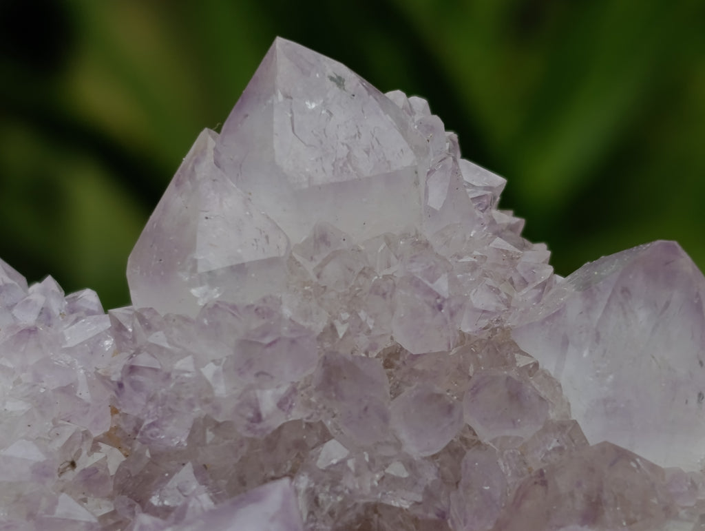 Natural Amethyst Spirit Quartz Clusters x 6 From Boekenhouthoek, South Africa - Toprock Gemstones and Minerals 