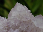 Natural Amethyst Spirit Quartz Clusters x 6 From Boekenhouthoek, South Africa - Toprock Gemstones and Minerals 