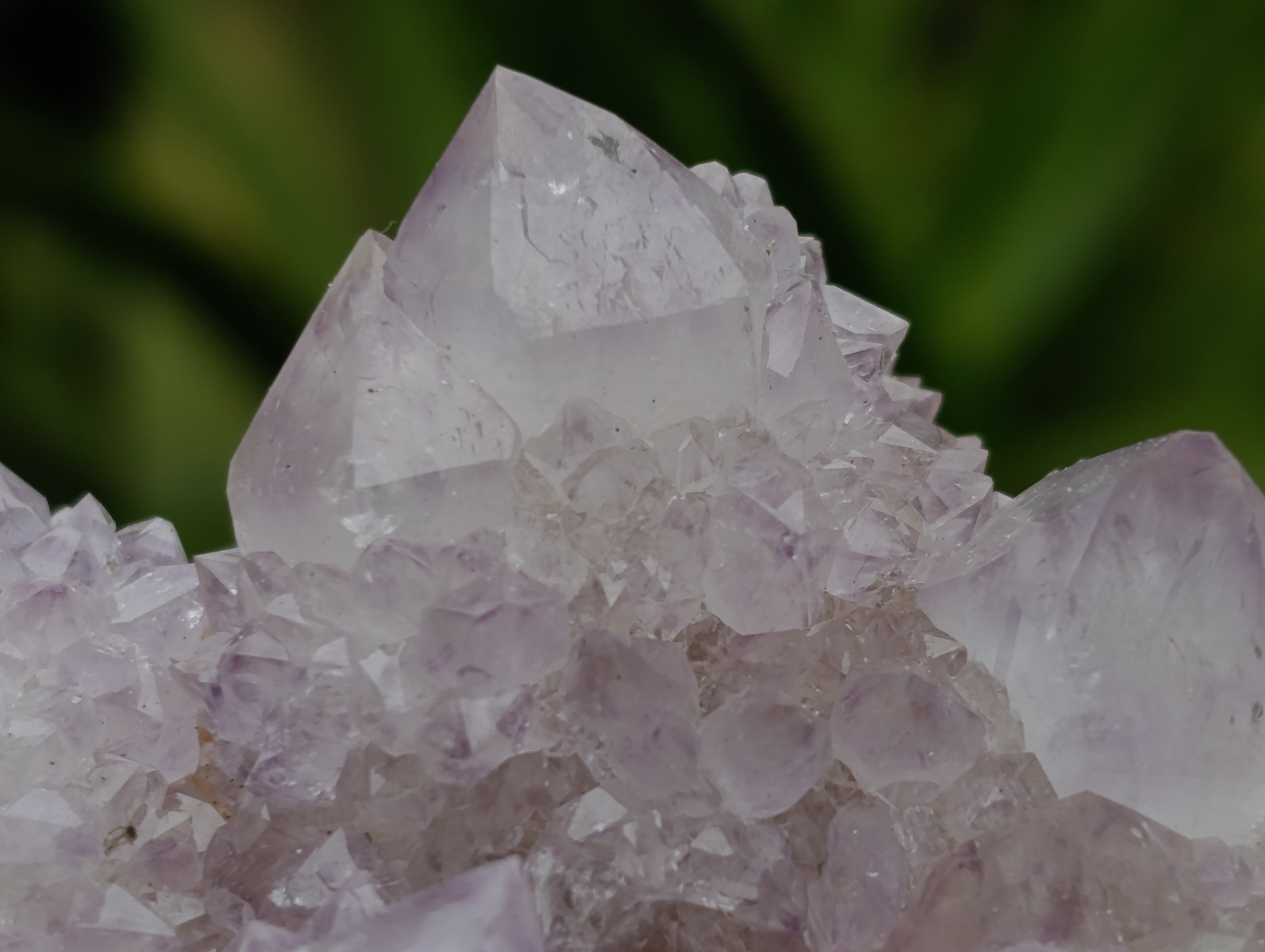 Natural Amethyst Spirit Quartz Clusters x 6 From Boekenhouthoek, South Africa - Toprock Gemstones and Minerals 