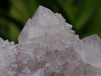 Natural Amethyst Spirit Quartz Clusters x 6 From Boekenhouthoek, South Africa