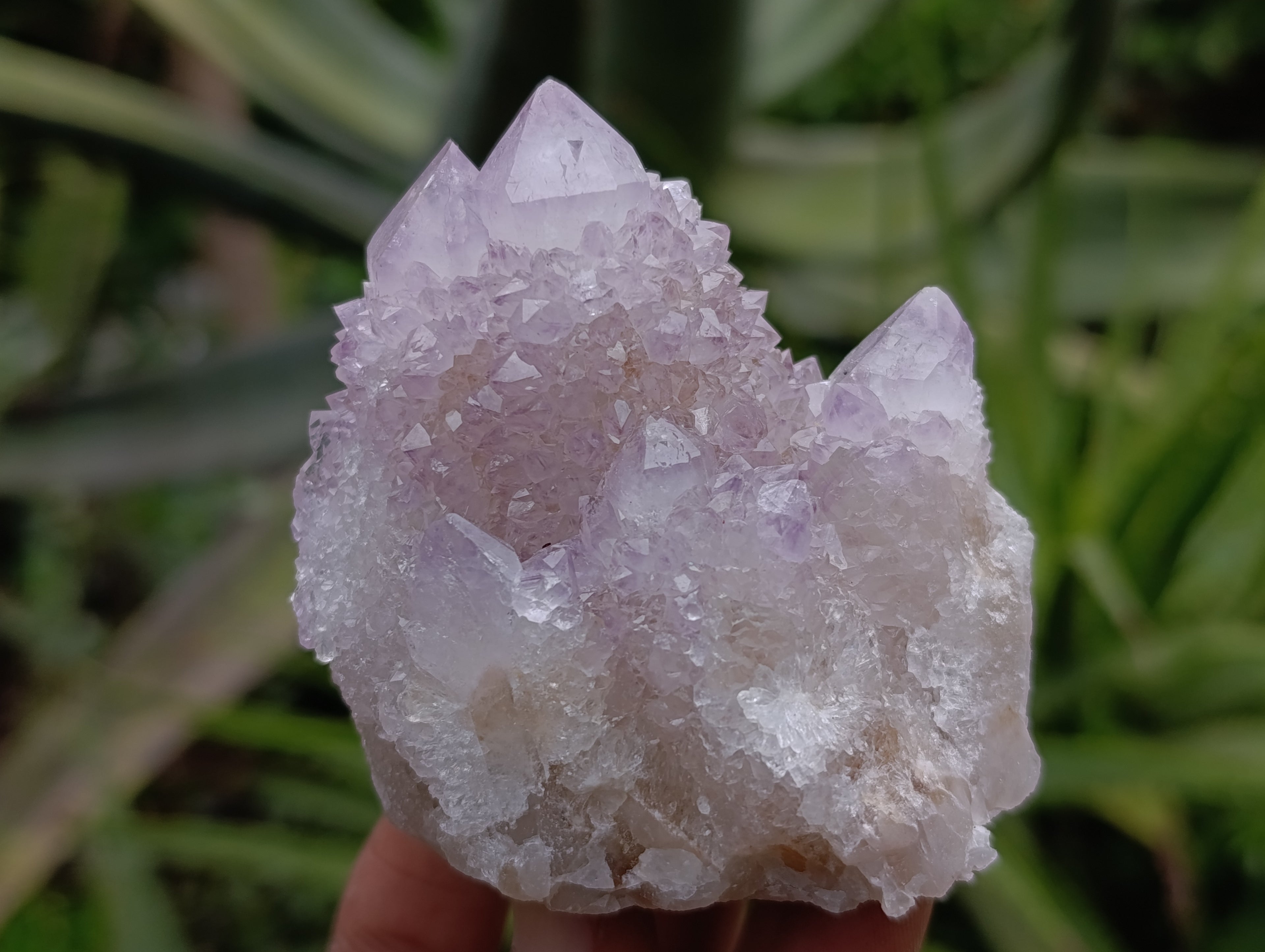 Natural Amethyst Spirit Quartz Clusters x 6 From Boekenhouthoek, South Africa - Toprock Gemstones and Minerals 