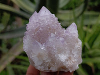 Natural Amethyst Spirit Quartz Clusters x 6 From Boekenhouthoek, South Africa