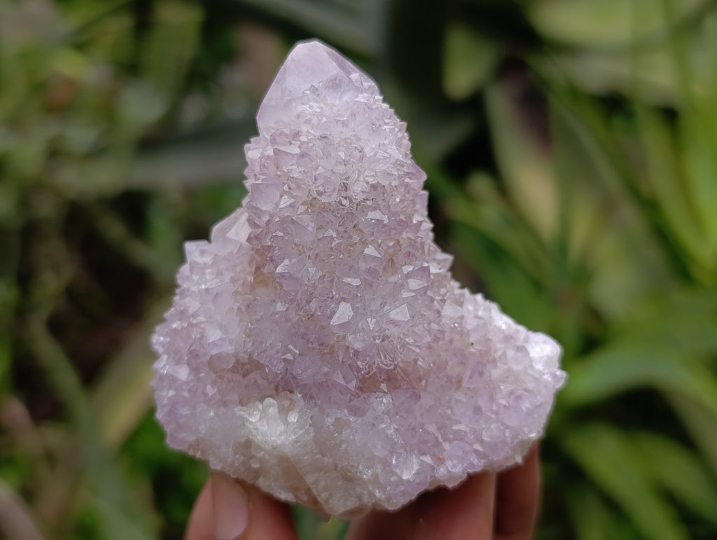 Natural Amethyst Spirit Quartz Clusters x 6 From Boekenhouthoek, South Africa - Toprock Gemstones and Minerals 