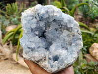 Natural Blue Celestite Geode Specimen x 1 From Sakoany, Madagascar - Toprock Gemstones and Minerals 
