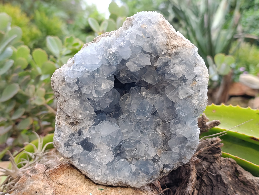Natural Blue Celestite Geode Specimen x 1 From Sakoany, Madagascar - Toprock Gemstones and Minerals 
