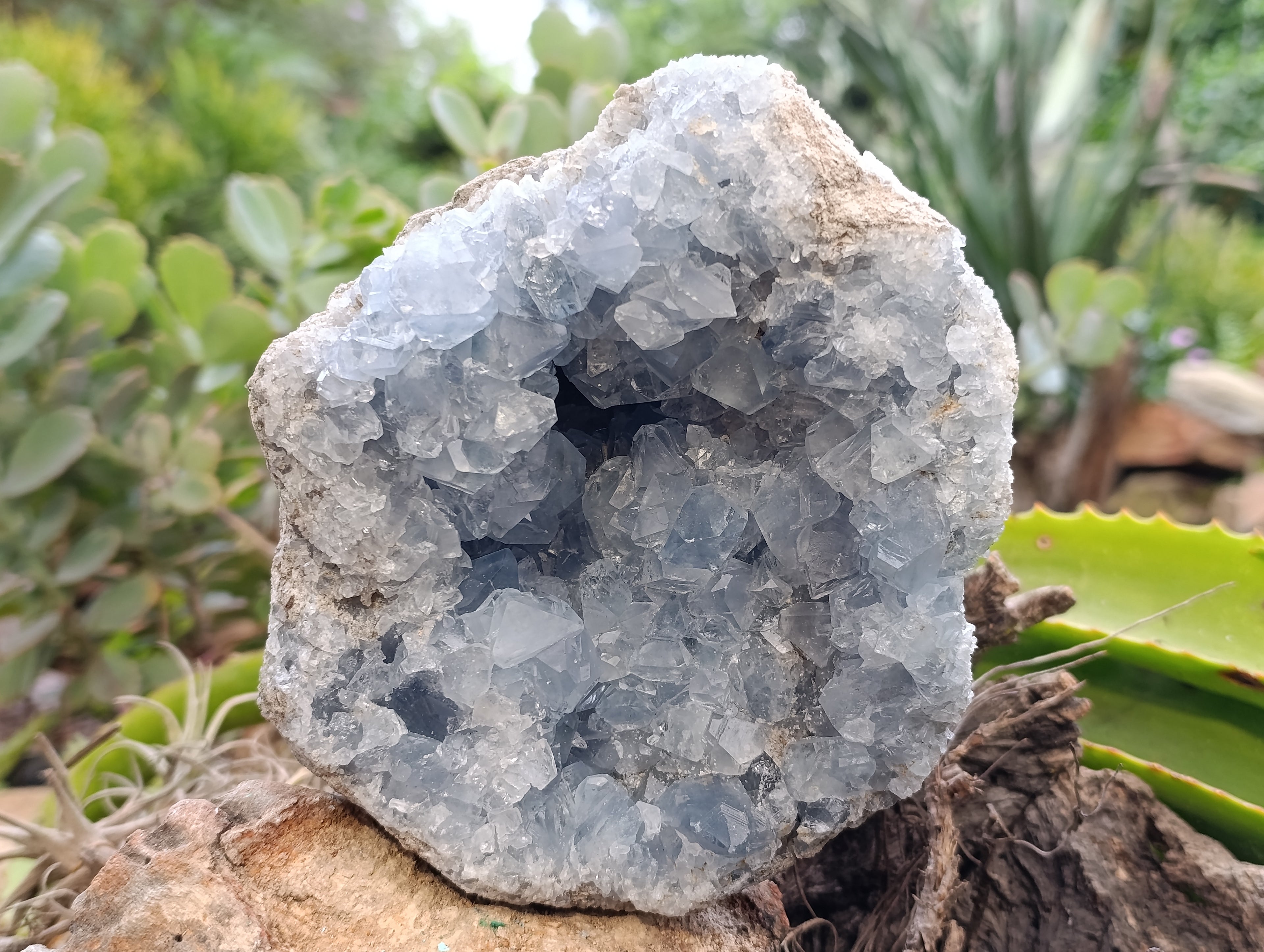 Natural Blue Celestite Geode Specimen x 1 From Sakoany, Madagascar - Toprock Gemstones and Minerals 