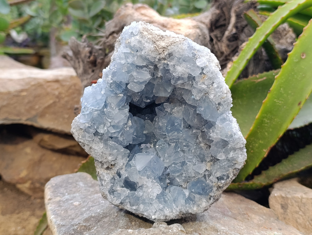 Natural Blue Celestite Geode Specimen x 1 From Sakoany, Madagascar - Toprock Gemstones and Minerals 