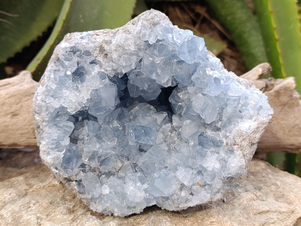 Natural Blue Celestite Geode Specimen x 1 From Sakoany, Madagascar - Toprock Gemstones and Minerals 