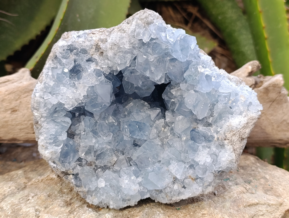 Natural Blue Celestite Geode Specimen x 1 From Sakoany, Madagascar - Toprock Gemstones and Minerals 
