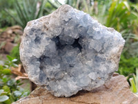 Natural Blue Celestite Geode Specimen x 1 From Sakoany, Madagascar - Toprock Gemstones and Minerals 
