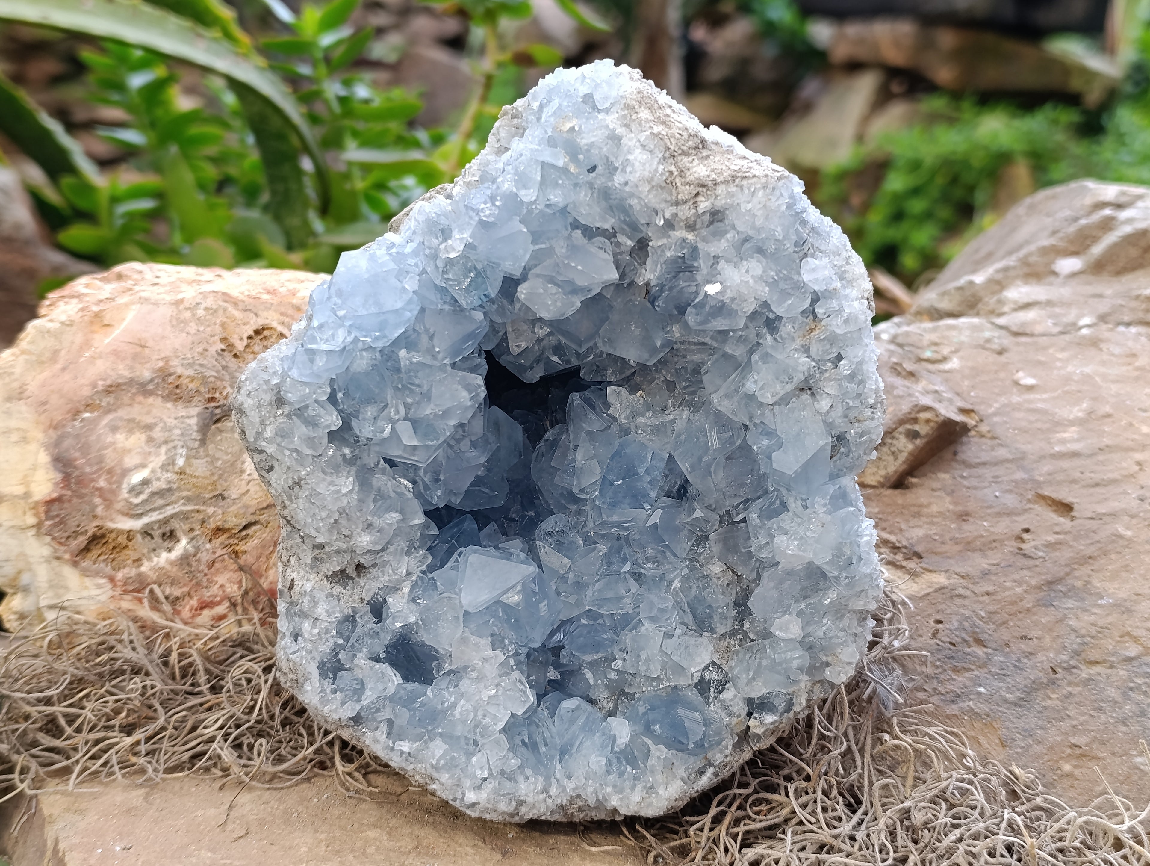 Natural Blue Celestite Geode Specimen x 1 From Sakoany, Madagascar - Toprock Gemstones and Minerals 