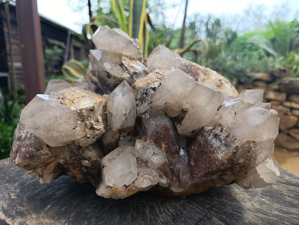 Natural Extra Large Hematoid Quartz Cluster x 1 From Zambia - Toprock Gemstones and Minerals 