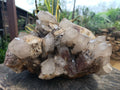 Natural Extra Large Hematoid Quartz Cluster x 1 From Zambia - Toprock Gemstones and Minerals 