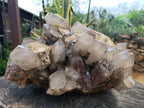 Natural Extra Large Hematoid Quartz Cluster x 1 From Zambia - Toprock Gemstones and Minerals 