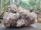 Natural Extra Large Hematoid Quartz Cluster x 1 From Zambia - Toprock Gemstones and Minerals 