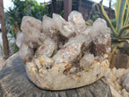 Natural Extra Large Hematoid Quartz Cluster x 1 From Zambia - Toprock Gemstones and Minerals 