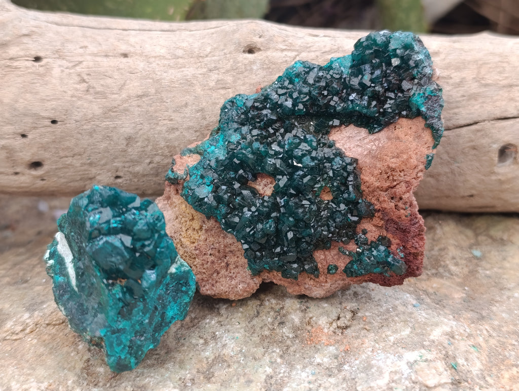 Natural Dioptase On Dolomite Specimens x 6 From Likasi, Congo - Toprock Gemstones and Minerals 