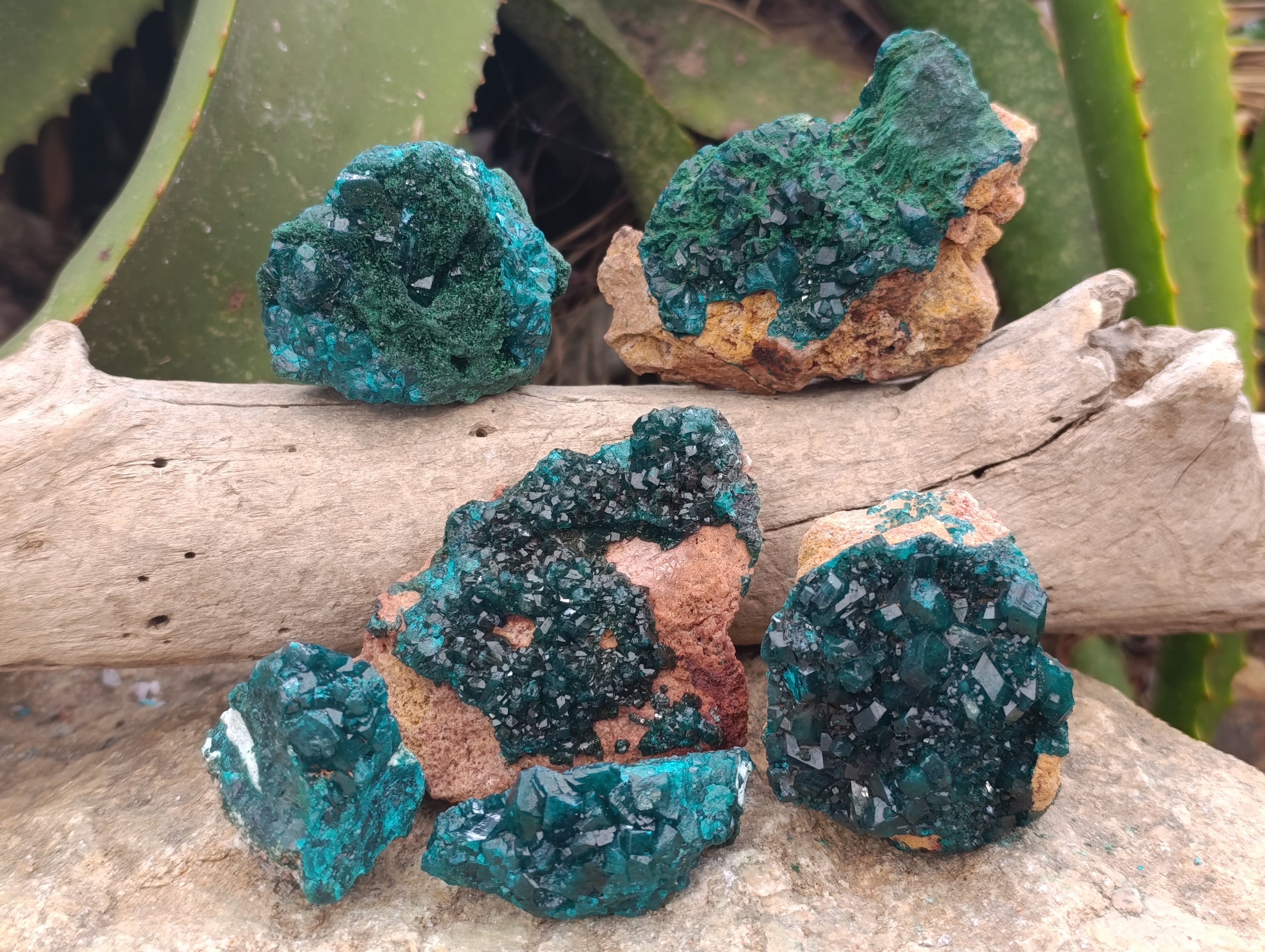 Natural Dioptase On Dolomite Specimens x 6 From Likasi, Congo - Toprock Gemstones and Minerals 