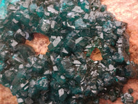 Natural Dioptase On Dolomite Specimens x 6 From Likasi, Congo