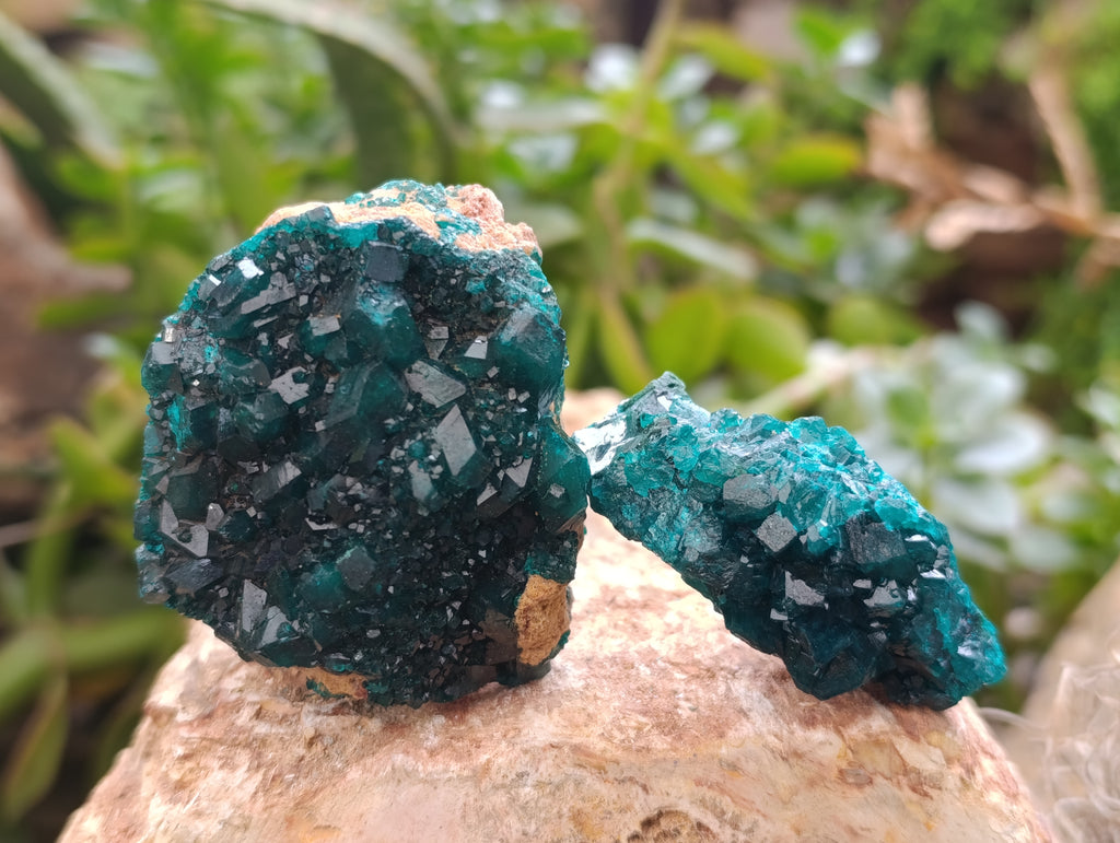 Natural Dioptase On Dolomite Specimens x 6 From Likasi, Congo - Toprock Gemstones and Minerals 