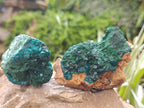 Natural Dioptase On Dolomite Specimens x 6 From Likasi, Congo - Toprock Gemstones and Minerals 