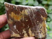 Polished On One Side Nguni Jasper Specimens x 10 From Prieska, South Africa