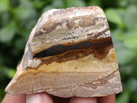 Polished On One Side Nguni Jasper Specimens x 10 From Prieska, South Africa