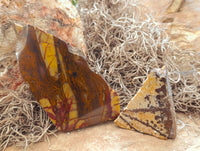Polished On One Side Nguni Jasper Specimens x 10 From Prieska, South Africa