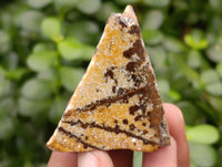 Polished On One Side Nguni Jasper Specimens x 10 From Prieska, South Africa