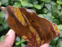Polished On One Side Nguni Jasper Specimens x 10 From Prieska, South Africa