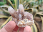 Natural Amethyst Spirit Quartz Clusters x 35 From Boekenhouthoek, South Africa - Toprock Gemstones and Minerals 