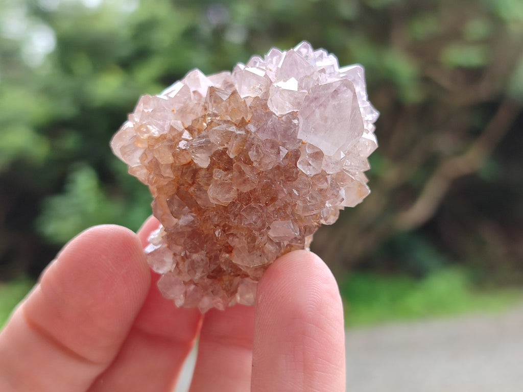 Natural Amethyst Spirit Quartz Clusters x 35 From Boekenhouthoek, South Africa - Toprock Gemstones and Minerals 