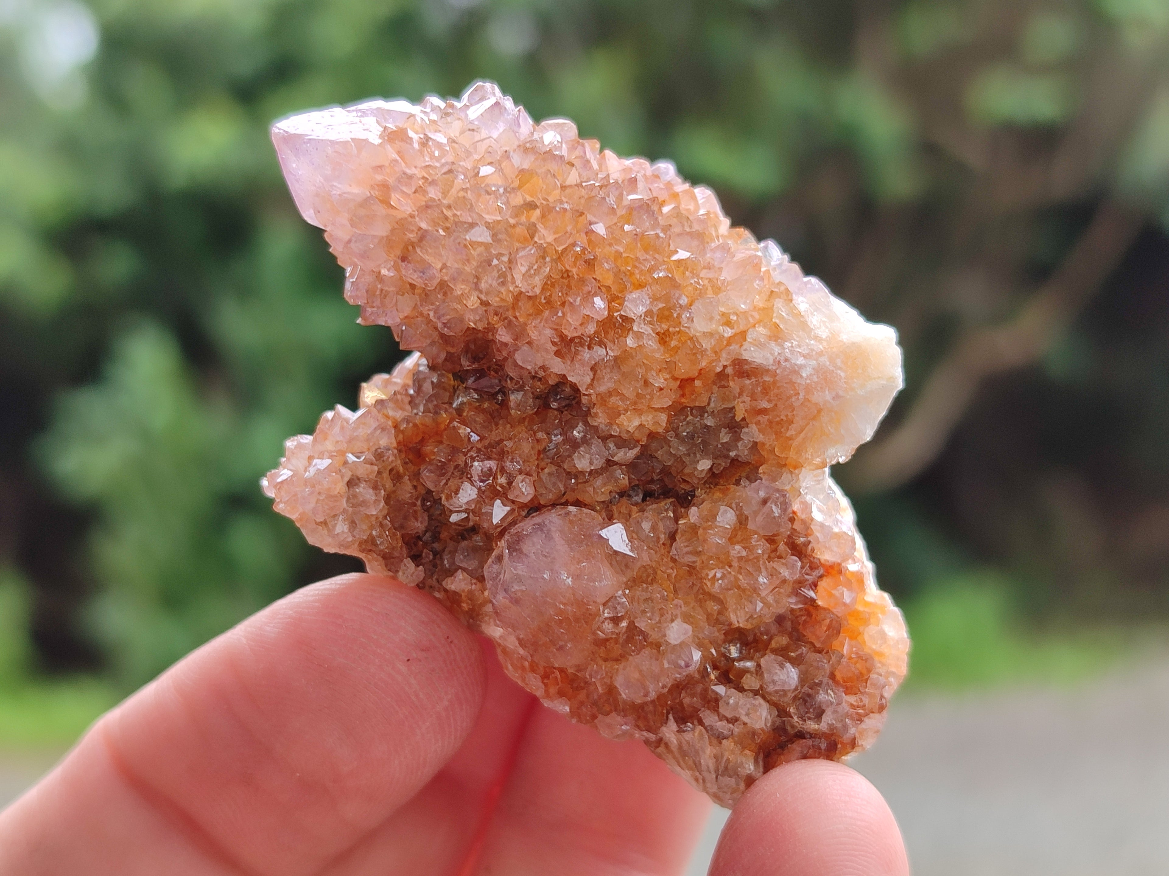 Natural Amethyst Spirit Quartz Clusters x 35 From Boekenhouthoek, South Africa - Toprock Gemstones and Minerals 