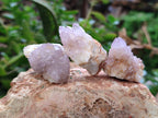 Natural Amethyst Spirit Quartz Clusters x 35 From Boekenhouthoek, South Africa - Toprock Gemstones and Minerals 