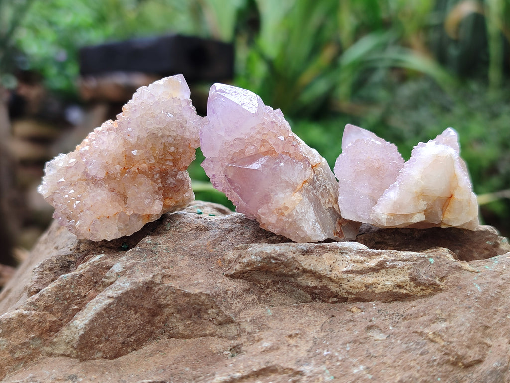 Natural Amethyst Spirit Quartz Clusters x 35 From Boekenhouthoek, South Africa - Toprock Gemstones and Minerals 