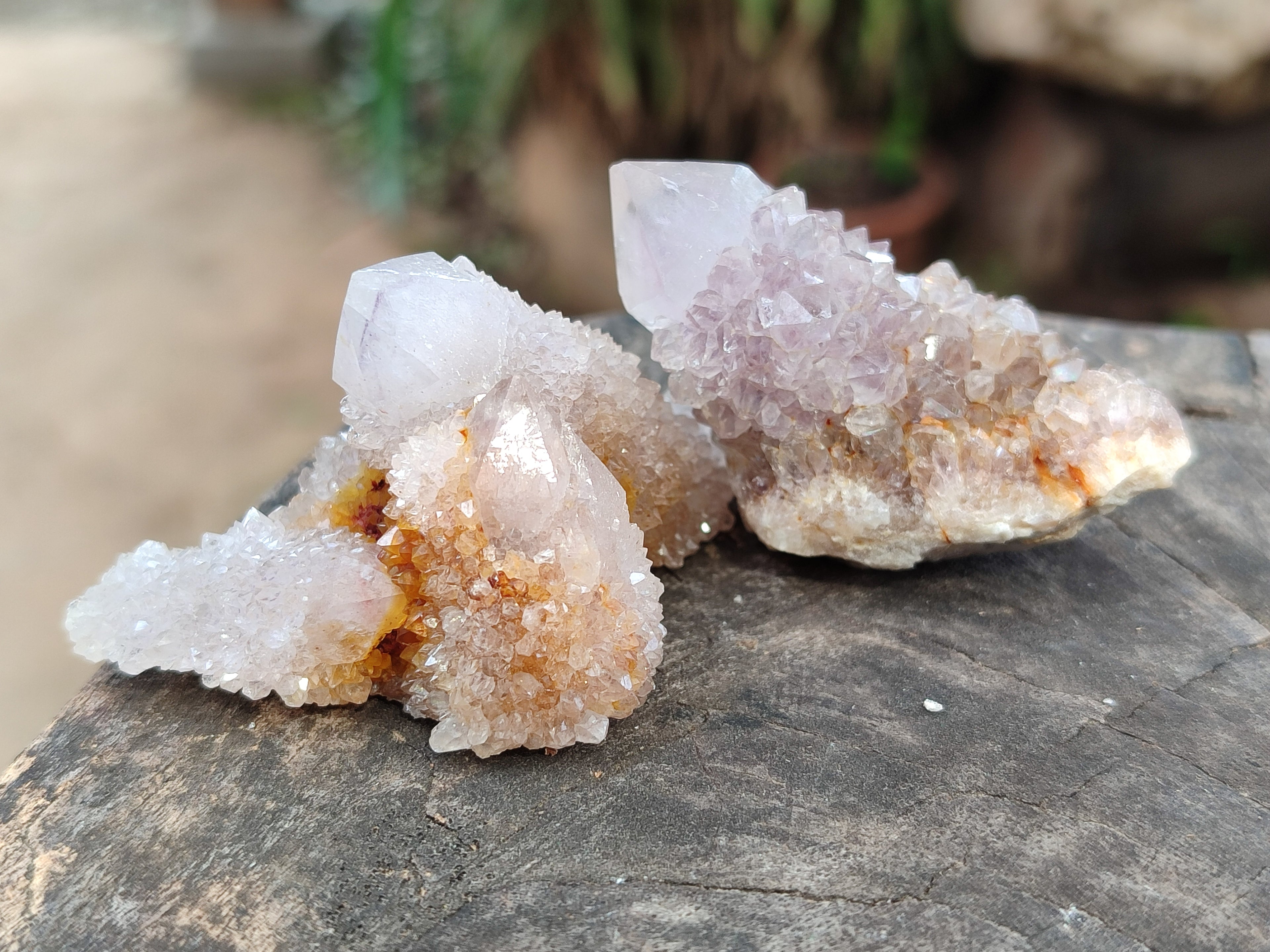 Natural Amethyst Spirit Quartz Clusters x 35 From Boekenhouthoek, South Africa - Toprock Gemstones and Minerals 