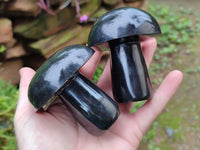 Polished Black Basalt Mushrooms x 6 From Antsirabe, Madagascar