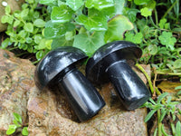 Polished Black Basalt Mushrooms x 6 From Antsirabe, Madagascar