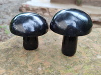 Polished Black Basalt Mushrooms x 6 From Antsirabe, Madagascar