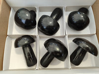 Polished Black Basalt Mushrooms x 6 From Antsirabe, Madagascar