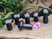 Polished Black Basalt Mushrooms x 6 From Antsirabe, Madagascar