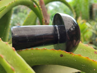 Polished Black Basalt Mushrooms x 6 From Antsirabe, Madagascar