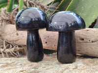 Polished Black Basalt Mushrooms x 6 From Antsirabe, Madagascar
