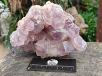 Natural Jacaranda Amethyst Quartz Cluster x 2 From Mumbwa, Zambia - Toprock Gemstones and Minerals 